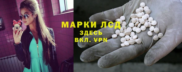 спайс Аркадак