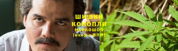 шишки Баксан