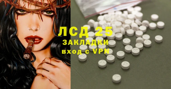 спайс Няндома