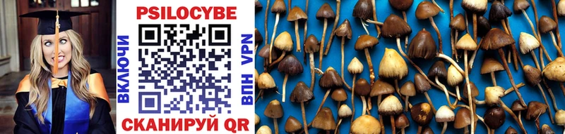 Галлюциногенные грибы Cubensis  даркнет сайт  OMG как войти  Октябрьск 